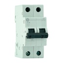 Int Term 6/10Ka 230V 2P 32A Dg - General Electric